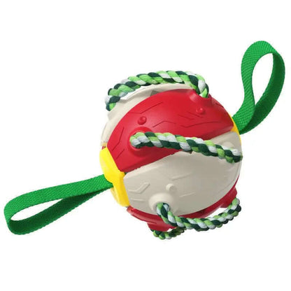 Ballon de Football pour Chien, jouet animaux de compagnies Les Visionnaires