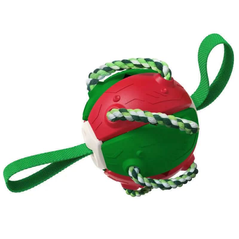 Ballon de Football pour Chien, jouet animaux de compagnies Les Visionnaires