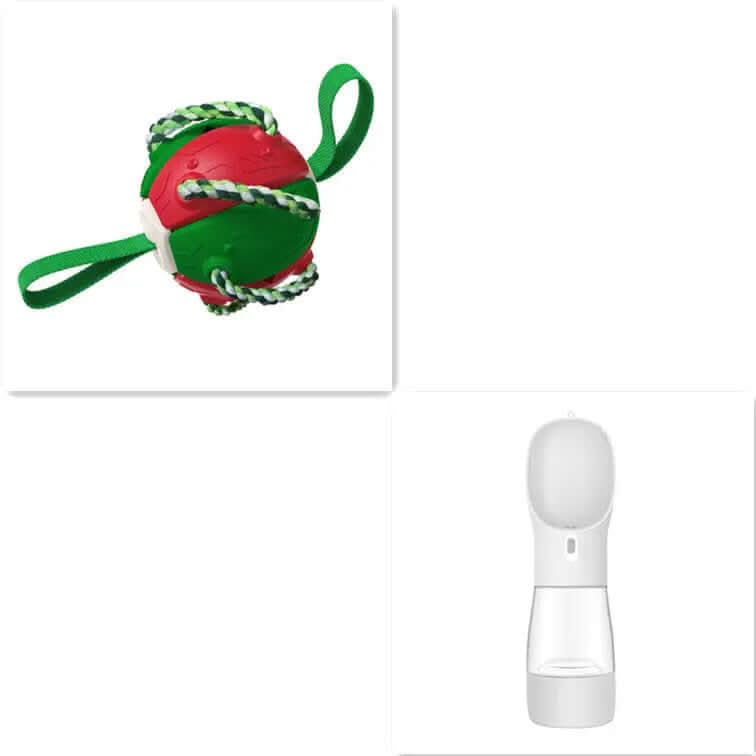 Ballon de Football pour Chien, jouet animaux de compagnies Les Visionnaires