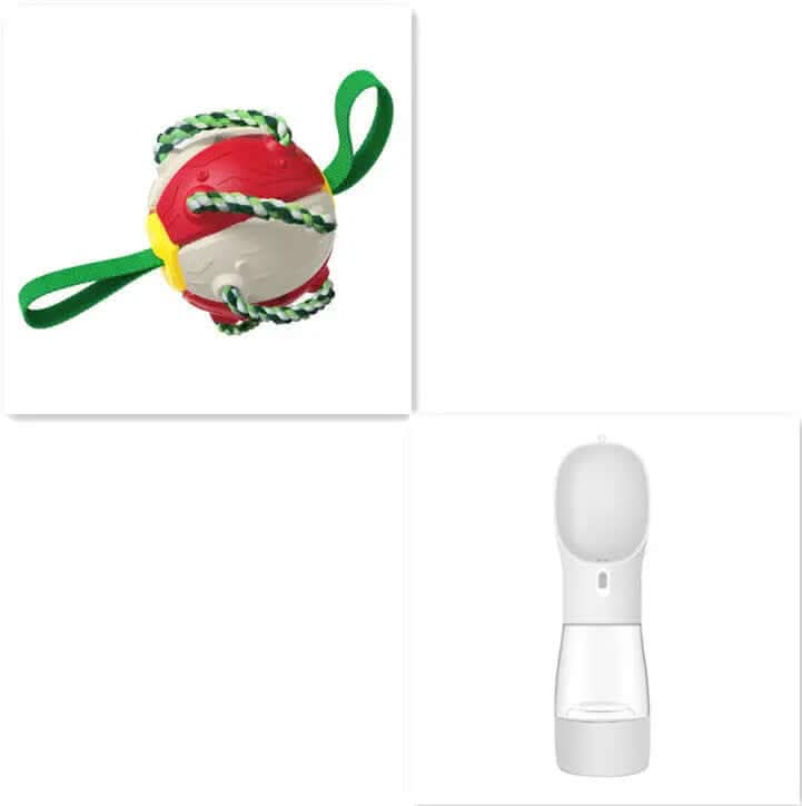 Ballon de Football pour Chien, jouet animaux de compagnies Les Visionnaires