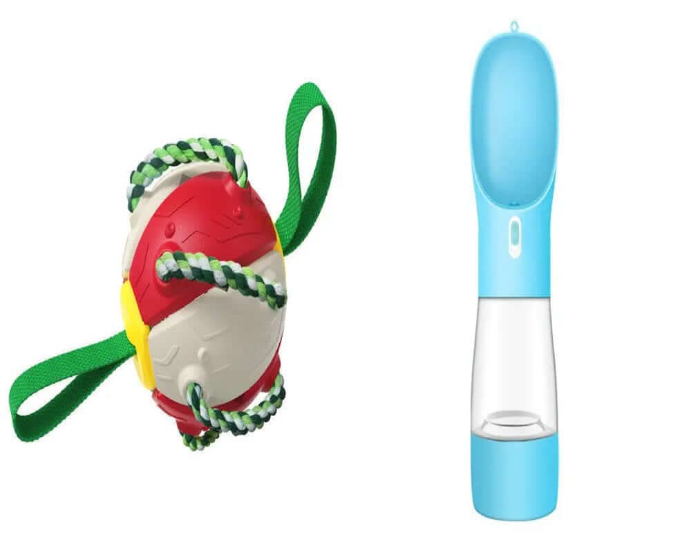 Ballon de Football pour Chien, jouet animaux de compagnies Les Visionnaires