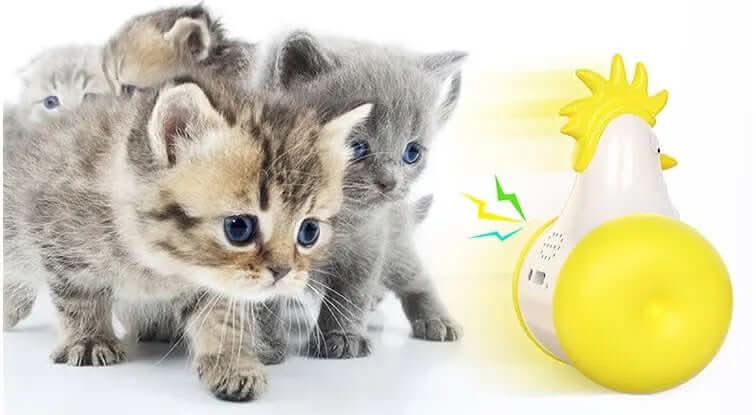 Jouet pour chat- jouet Électrique Sonore Tumbler pour Chat Les Visionnaires