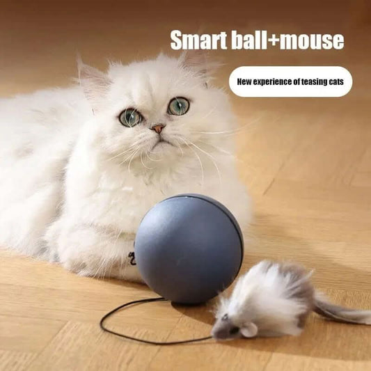 Jouets pour chat, balle taquine en forme de souris Les Visionnaires