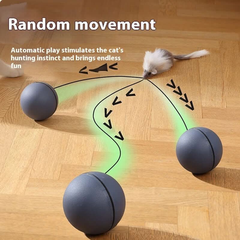 Jouets pour chat, balle taquine en forme de souris Les Visionnaires