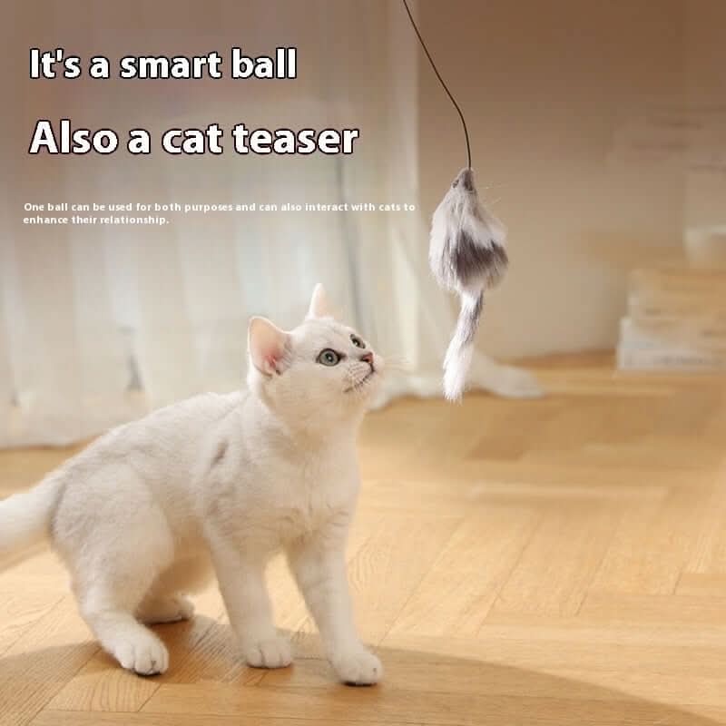 Jouets pour chat, balle taquine en forme de souris Les Visionnaires
