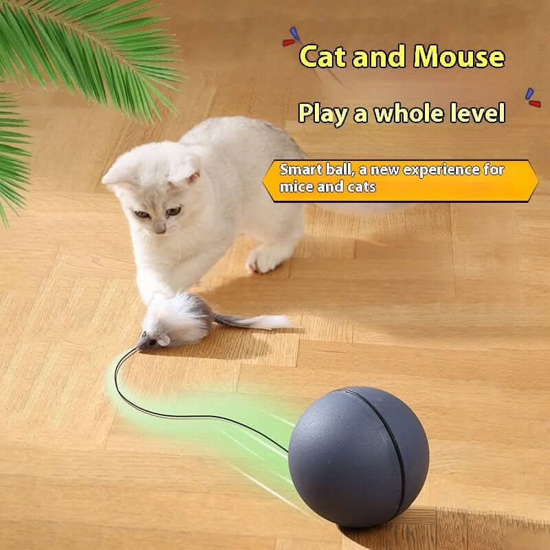 Jouets pour chat, balle taquine en forme de souris Les Visionnaires