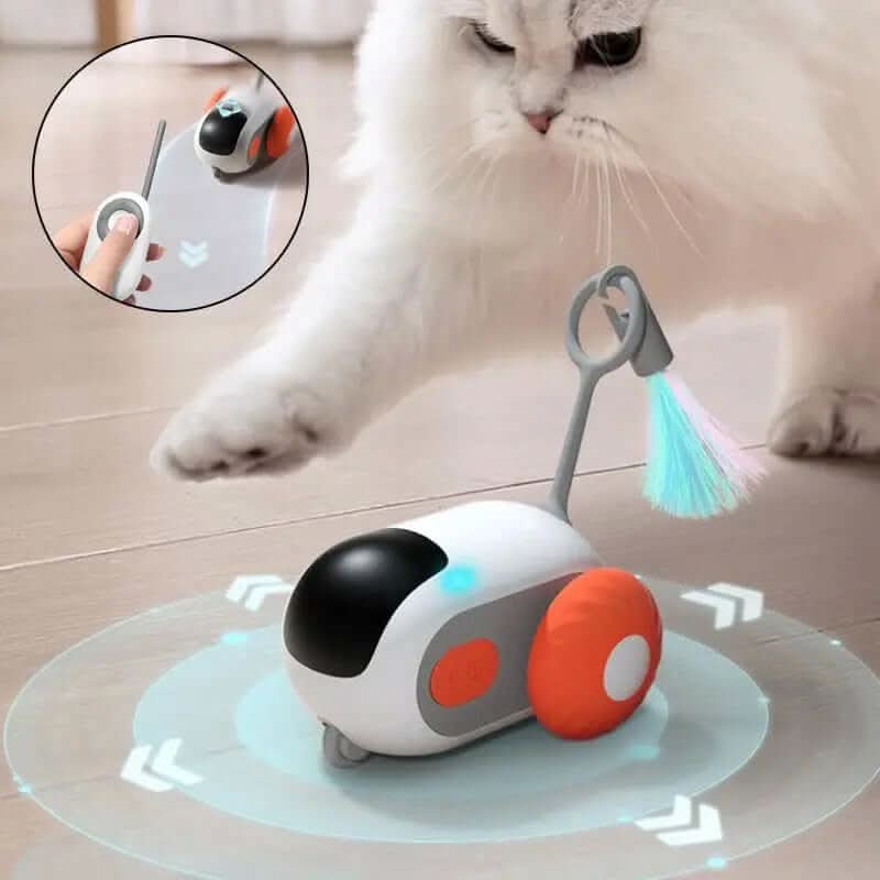 jouet interactif télécommandé pour chat Les Visionnaires
