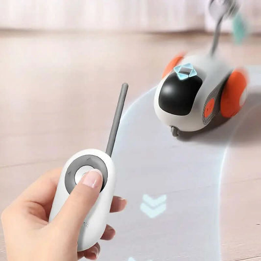 jouet interactif télécommandé pour chat Les Visionnaires