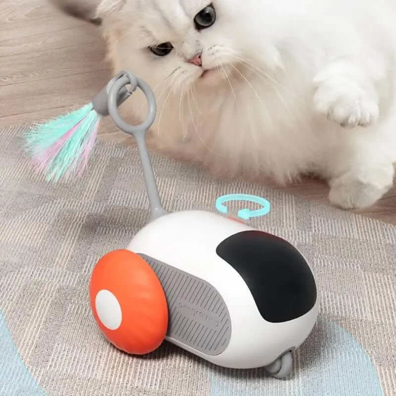 jouet interactif télécommandé pour chat Les Visionnaires