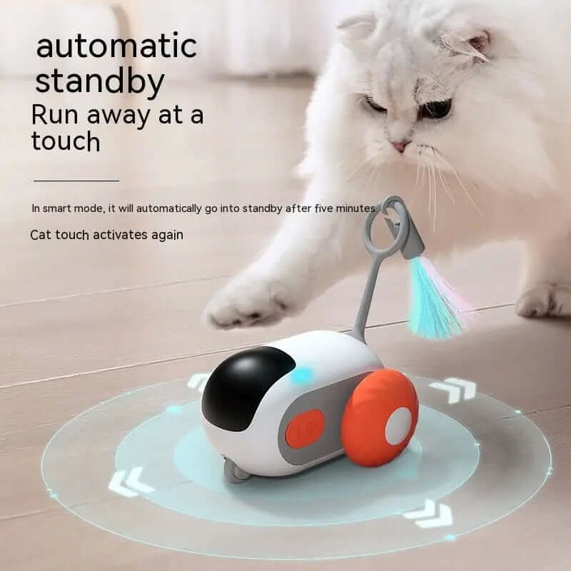 jouet interactif télécommandé pour chat Les Visionnaires