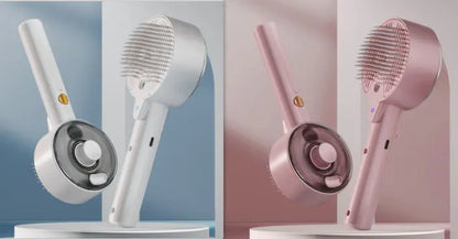 Animal Hair Remover Brush Les Visionnaires