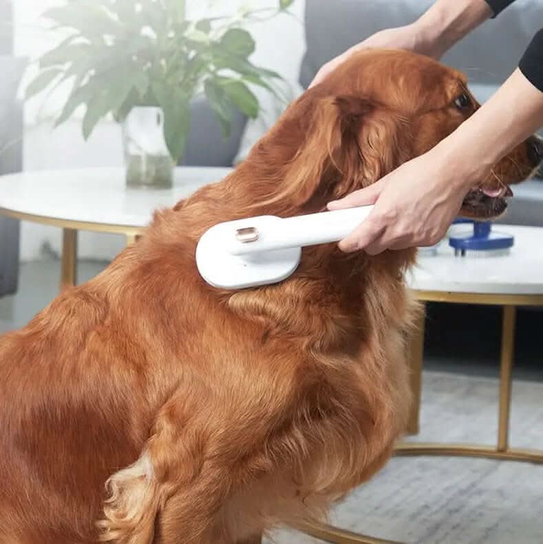 Peigne pour animaux, toilettage Les Visionnaires