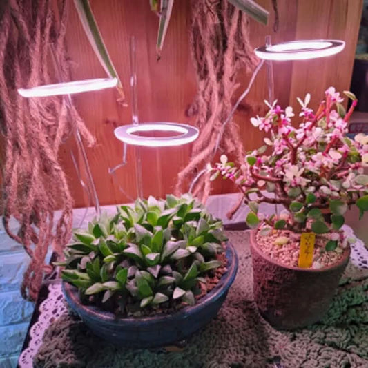 Lampe de croissance LED à spectre complet, USB, 5 V, pour plantes, serre, semis Les Visionnaires