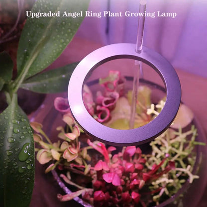 Lampe de croissance LED à spectre complet, USB, 5 V, pour plantes, serre, semis Les Visionnaires