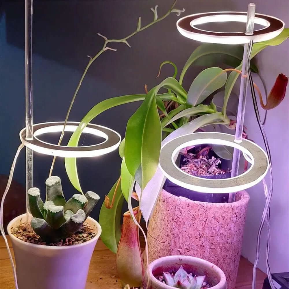 Lampe de croissance LED à spectre complet, USB, 5 V, pour plantes, serre, semis Les Visionnaires