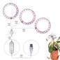Lampe de croissance LED à spectre complet, USB, 5 V, pour plantes, serre, semis Les Visionnaires
