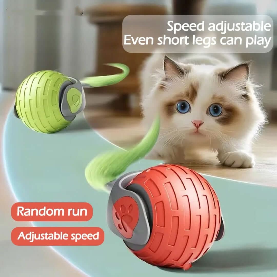 Jouet interactif pour chat - balle roulante électrique automatique Les Visionnaires