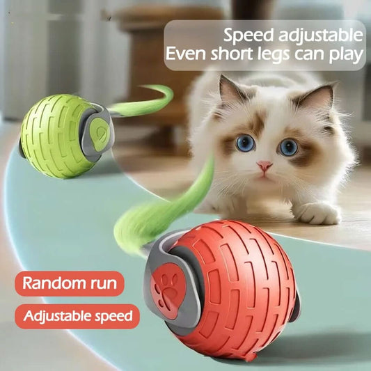 Jouet interactif pour chat - balle roulante électrique automatique Les Visionnaires