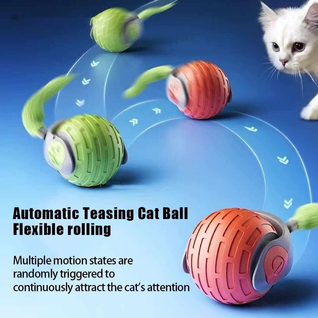 Jouet interactif pour chat - balle roulante électrique automatique Les Visionnaires
