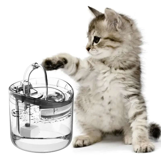 distributeur d’eau automatique pour chat Les Visionnaires