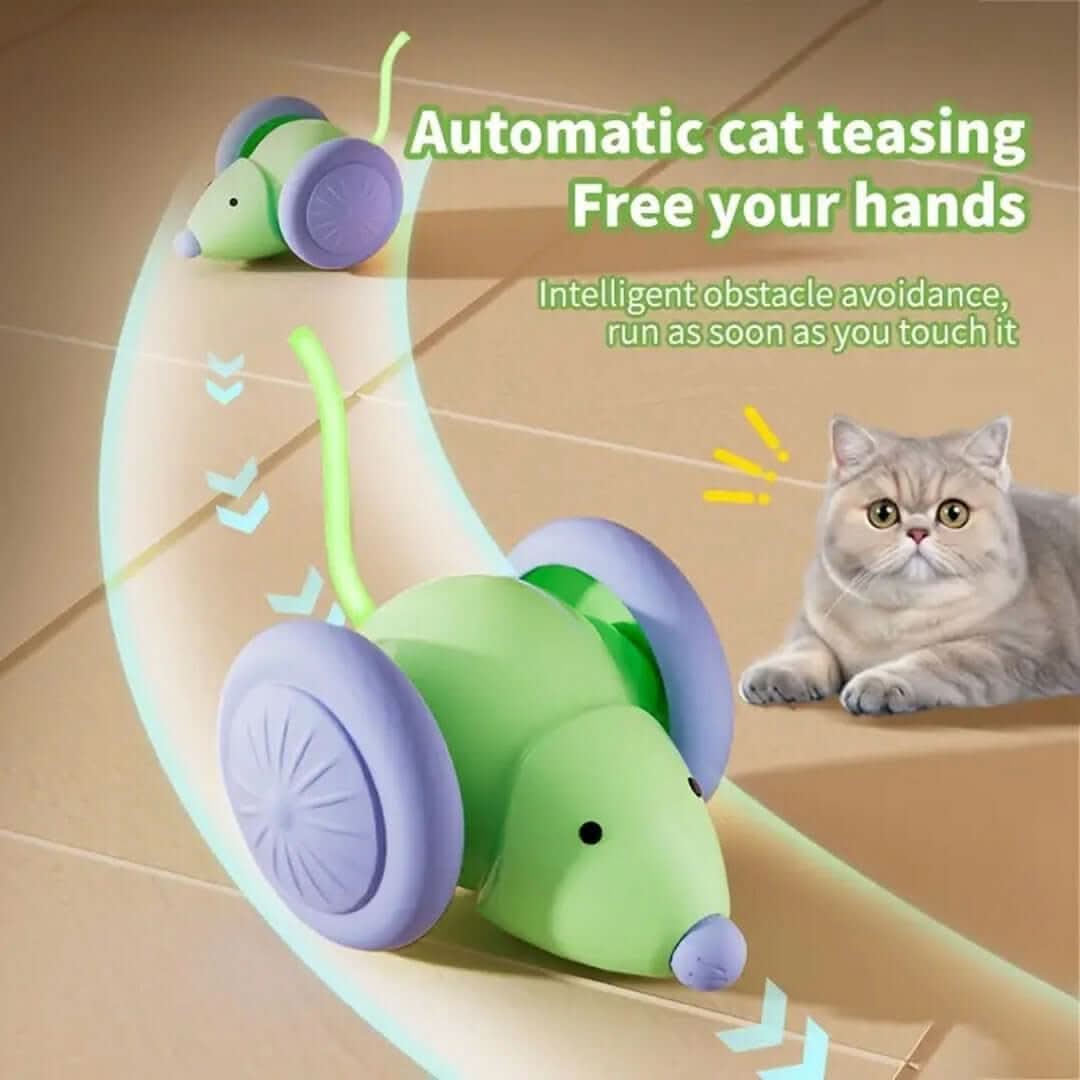Jouet interactif pour chat Souris électrique Voiture Les Visionnaires