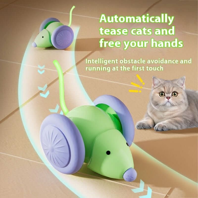 Jouet interactif pour chat Souris électrique Voiture Les Visionnaires