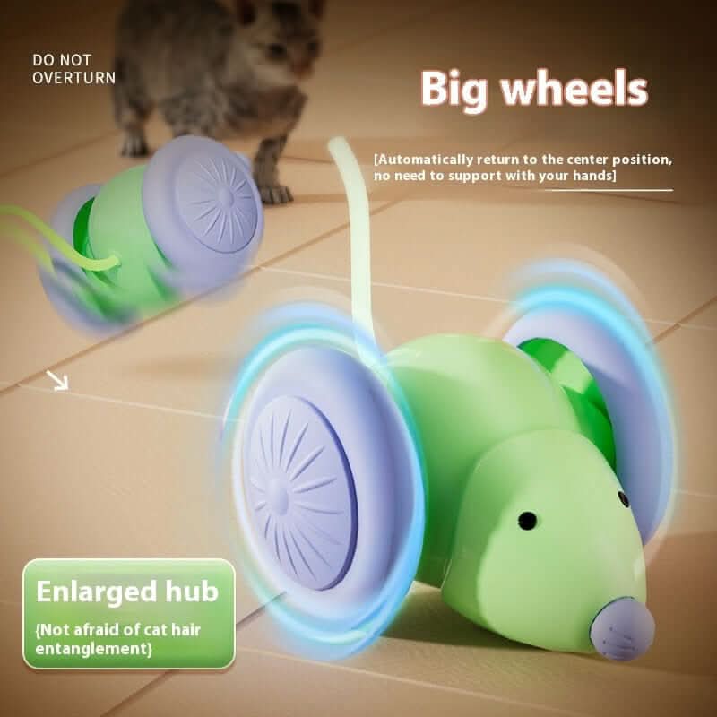 Jouet interactif pour chat Souris électrique Voiture Les Visionnaires