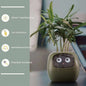 Pot de fleurs intelligent Les Visionnaires