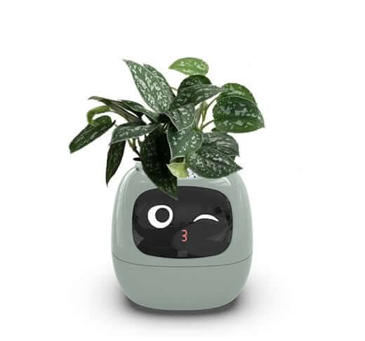 Pot de fleurs intelligent Les Visionnaires