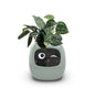 Pot de fleurs intelligent Les Visionnaires
