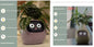 Pot de fleurs intelligent Les Visionnaires