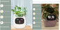 Pot de fleurs intelligent Les Visionnaires