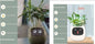 Pot de fleurs intelligent Les Visionnaires