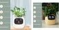 Pot de fleurs intelligent Les Visionnaires
