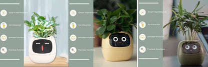 Pot de fleurs intelligent Les Visionnaires