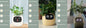 Pot de fleurs intelligent Les Visionnaires