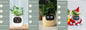 Pot de fleurs intelligent Les Visionnaires