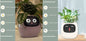 Pot de fleurs intelligent Les Visionnaires