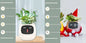 Pot de fleurs intelligent Les Visionnaires