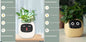 Pot de fleurs intelligent Les Visionnaires