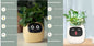 Pot de fleurs intelligent Les Visionnaires