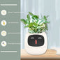 Pot de fleurs intelligent Les Visionnaires