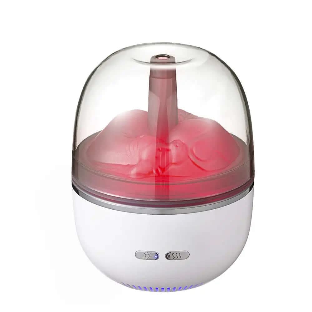 humidificateur ultrasonique avec diffuseur d'huiles essentielles Les Visionnaires