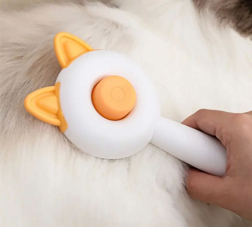 brosse autonettoyante pour animaux de compagnie Les Visionnaires