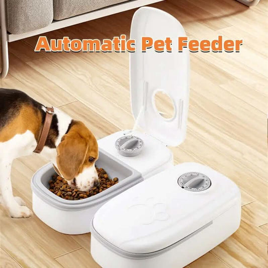 distributeur automatique de nourriture pour animaux de compagnies Les Visionnaires