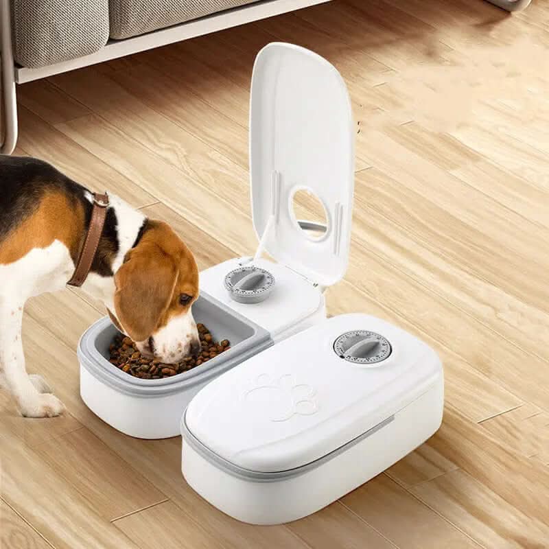distributeur automatique de nourriture pour animaux de compagnies Les Visionnaires