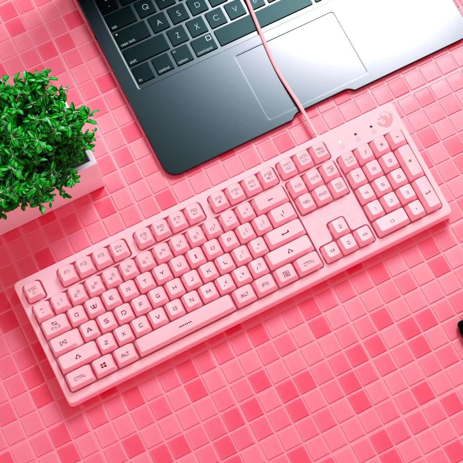 Clavier Mécanique pour Gaming et Dactylographie Les Visionnaires