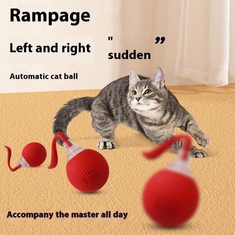 Jouet interactif pour chat Balle roulante Super Drive Cat Les Visionnaires