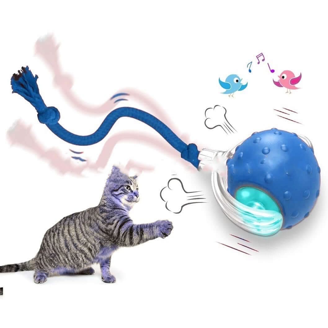 Jouet interactif pour chat Balle roulante Super Drive Cat Les Visionnaires