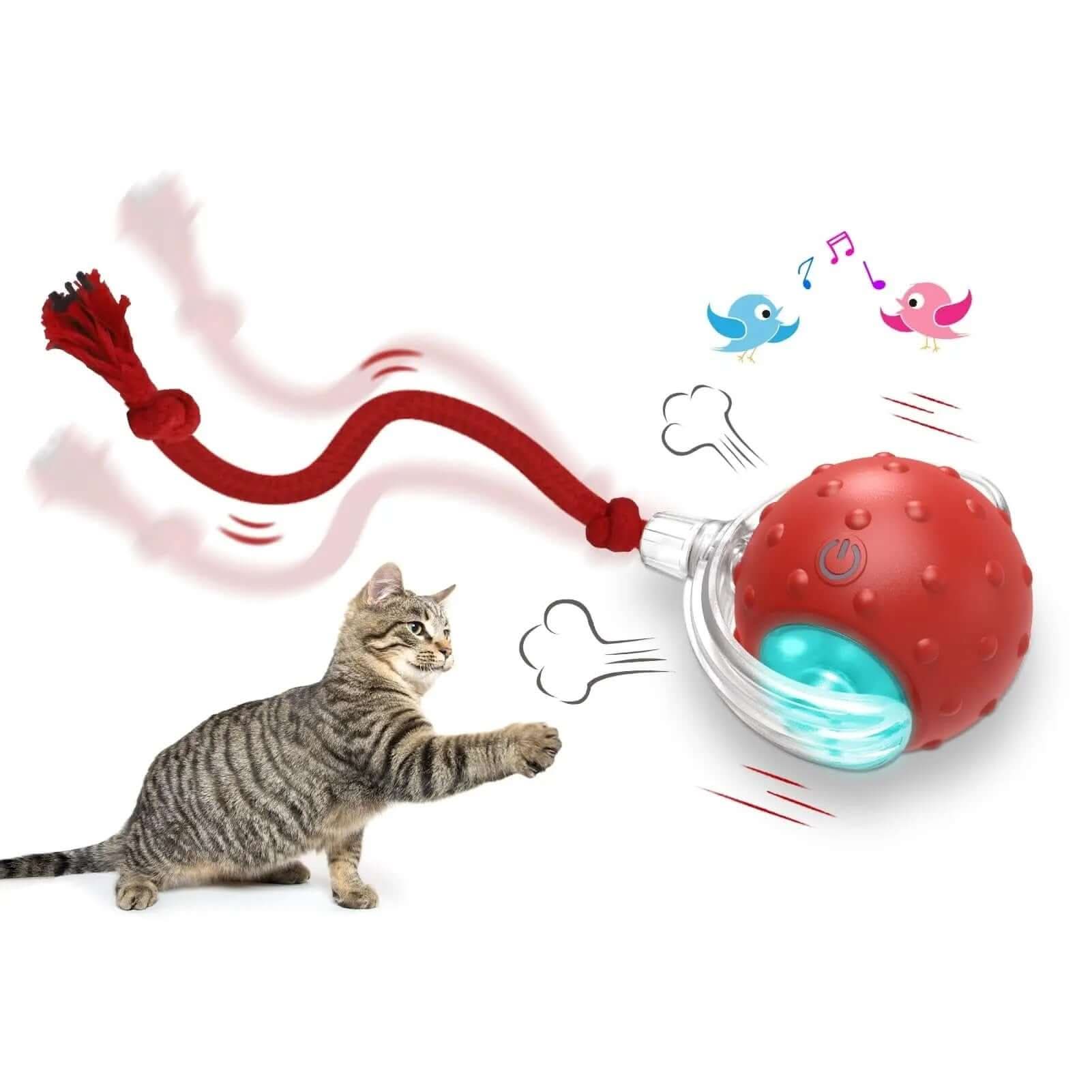 Jouet interactif pour chat Balle roulante Super Drive Cat Les Visionnaires